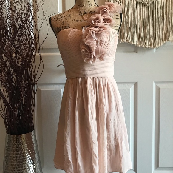 BCBGMaxAzria Dusty Rose Cocktail Dress ๐ท - Picture 5 of 7